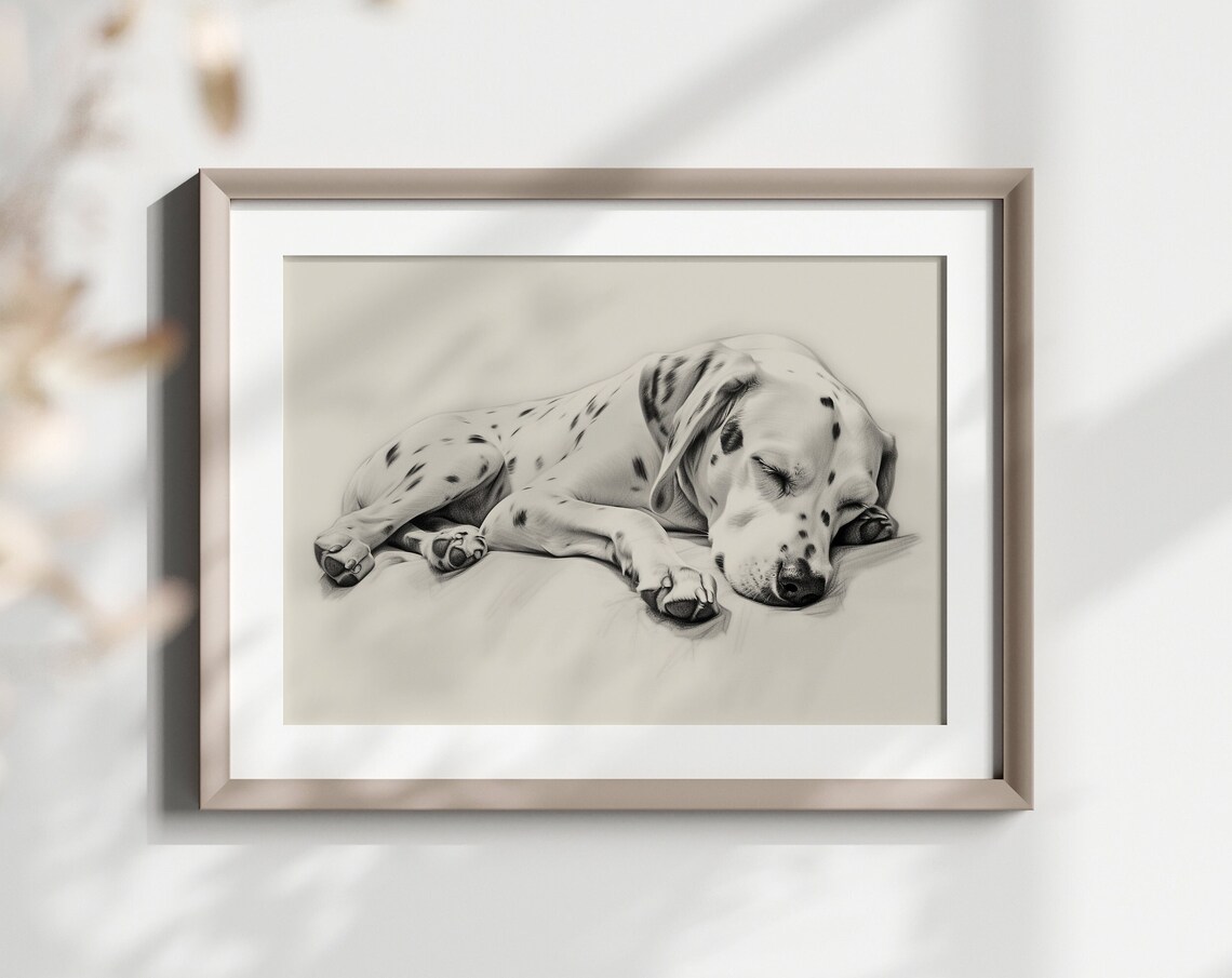 Dalmatian Sleeping Spotted Dog Puppy Pencil Sketch Breed Lover Poster