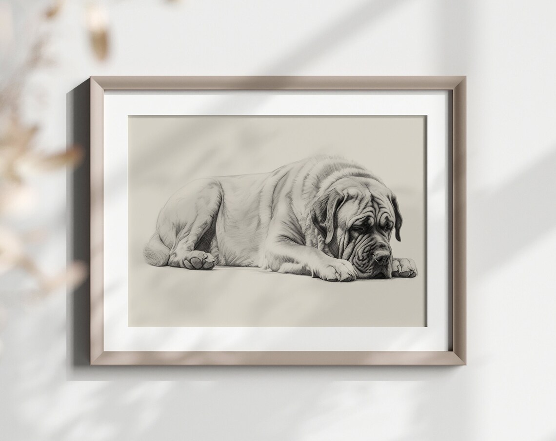 English Mastiff Sleeping Giant Dog Pencil Sketch Breed Lover Poster