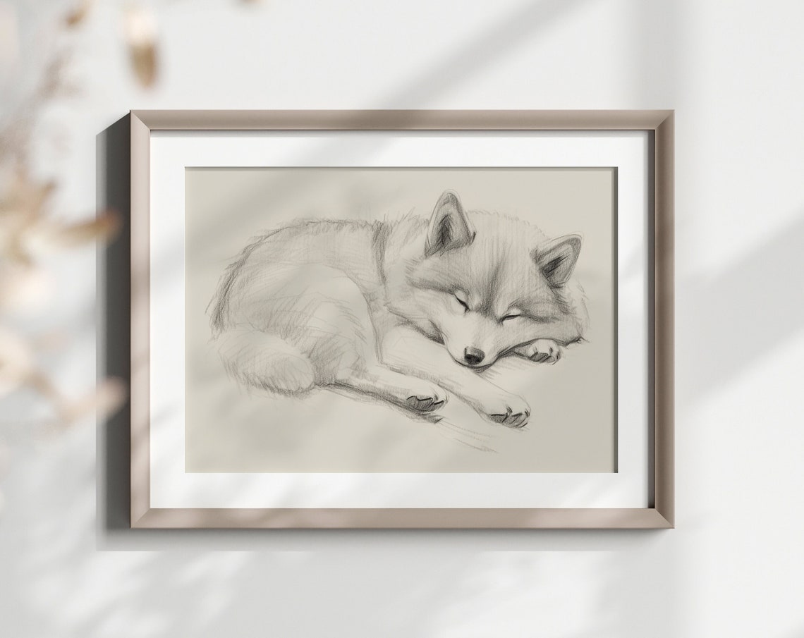 Shiba Inu Sleeping Curled Spitz Dog Pencil Sketch Breed Lover Poster
