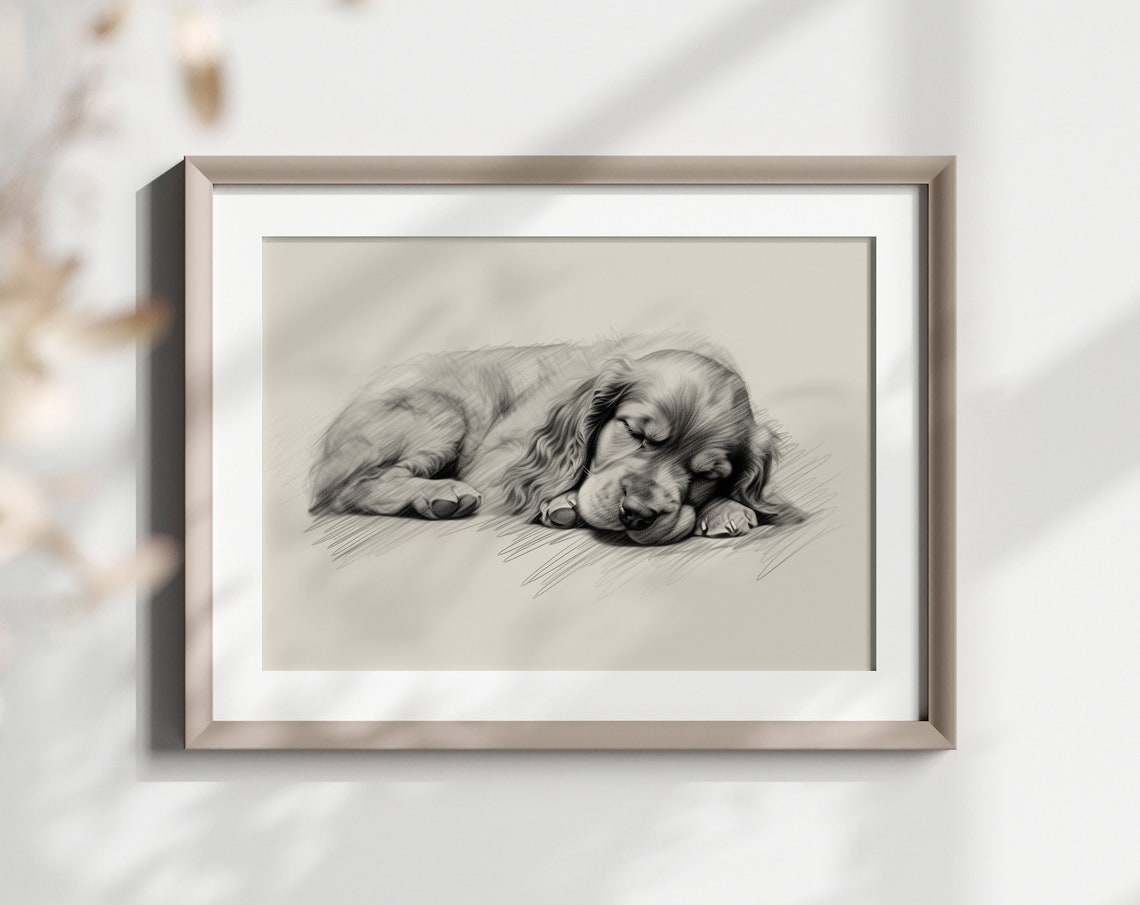 Cocker Spaniel Sleeping Curled Puppy Pencil Sketch Breed Gift Poster