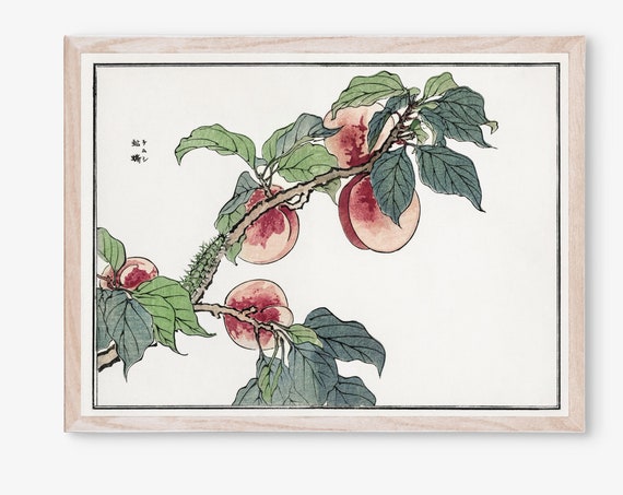 Vintage Japanese Art Morimoto Toko Floral Wall Caterpillar On Peach Tree House Decor Prints Japan