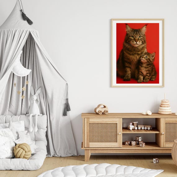 Maine Coon Cat Photography Cute Wall Art Kitten Portrait Pet Poster Kids Room Nursery Decor Mom Gift