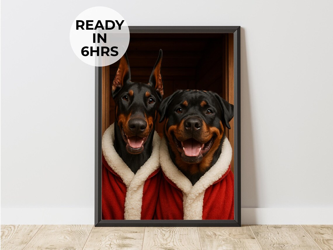 Doberman and Rottweiler Duo in Santa Robes Christmas Portrait Poster