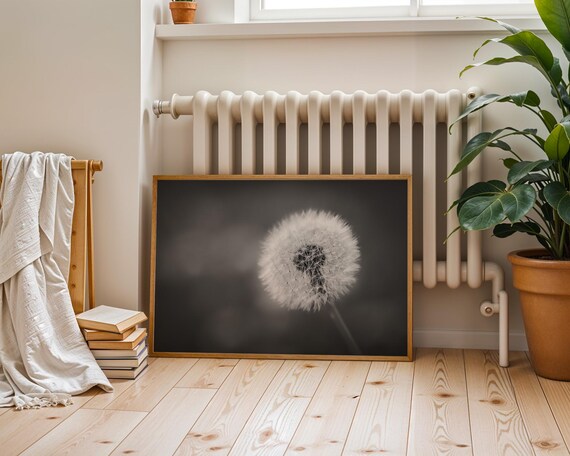 Black and White Dandelion Seed Head Moody Botanical Photo Poster