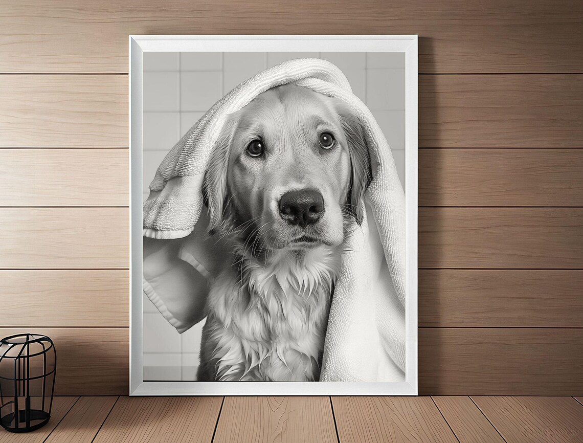 Golden Retriever Puppy With Towel On Head Black And White Dog Poster - Image 2