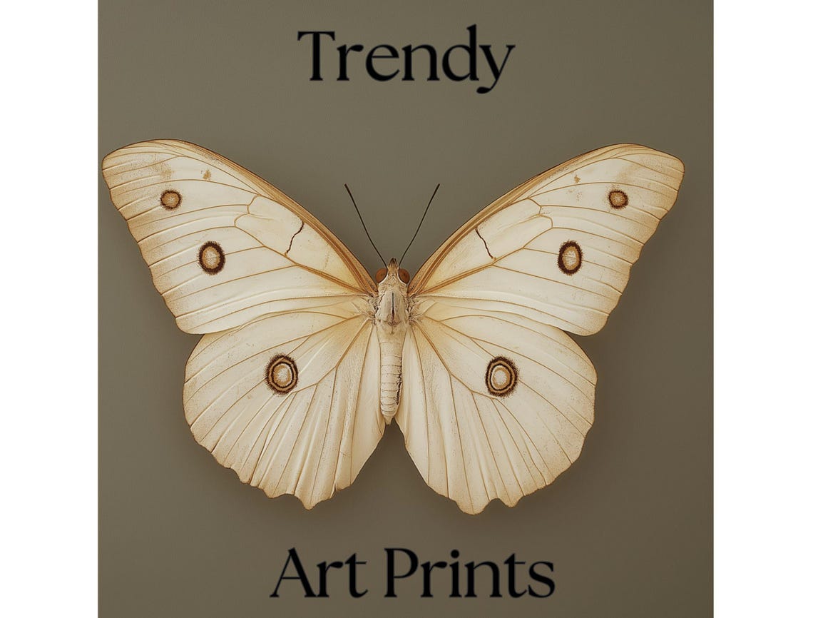 Vintage White Butterfly Specimen Dark Moody Insect Art Print - Image 3