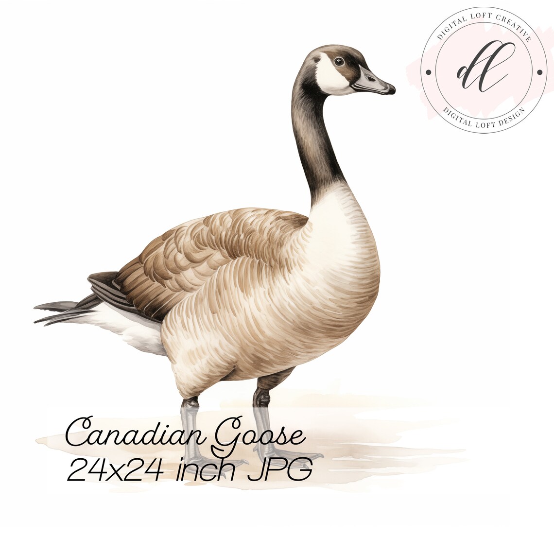 Watercolor Canada Goose Standing Lifelike Wildlife Bird Art Poster