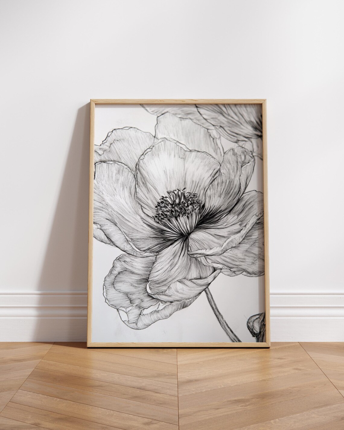 Black and White Poppy Flower Botanical Line Drawing Sketch Poster