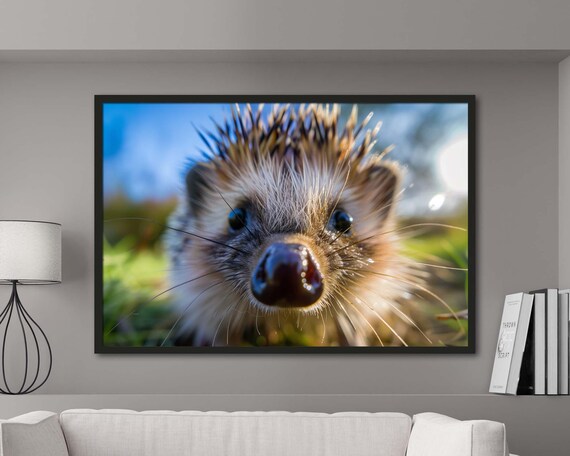 Cute Hedgehog Nose Macro Wildlife Close Up Sunny Grass Photo Poster