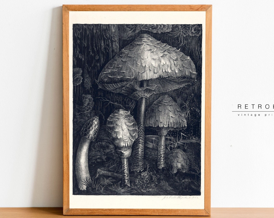 Vintage Black and White Mushroom Engraving Dark Forest Botanical Print - Image 2