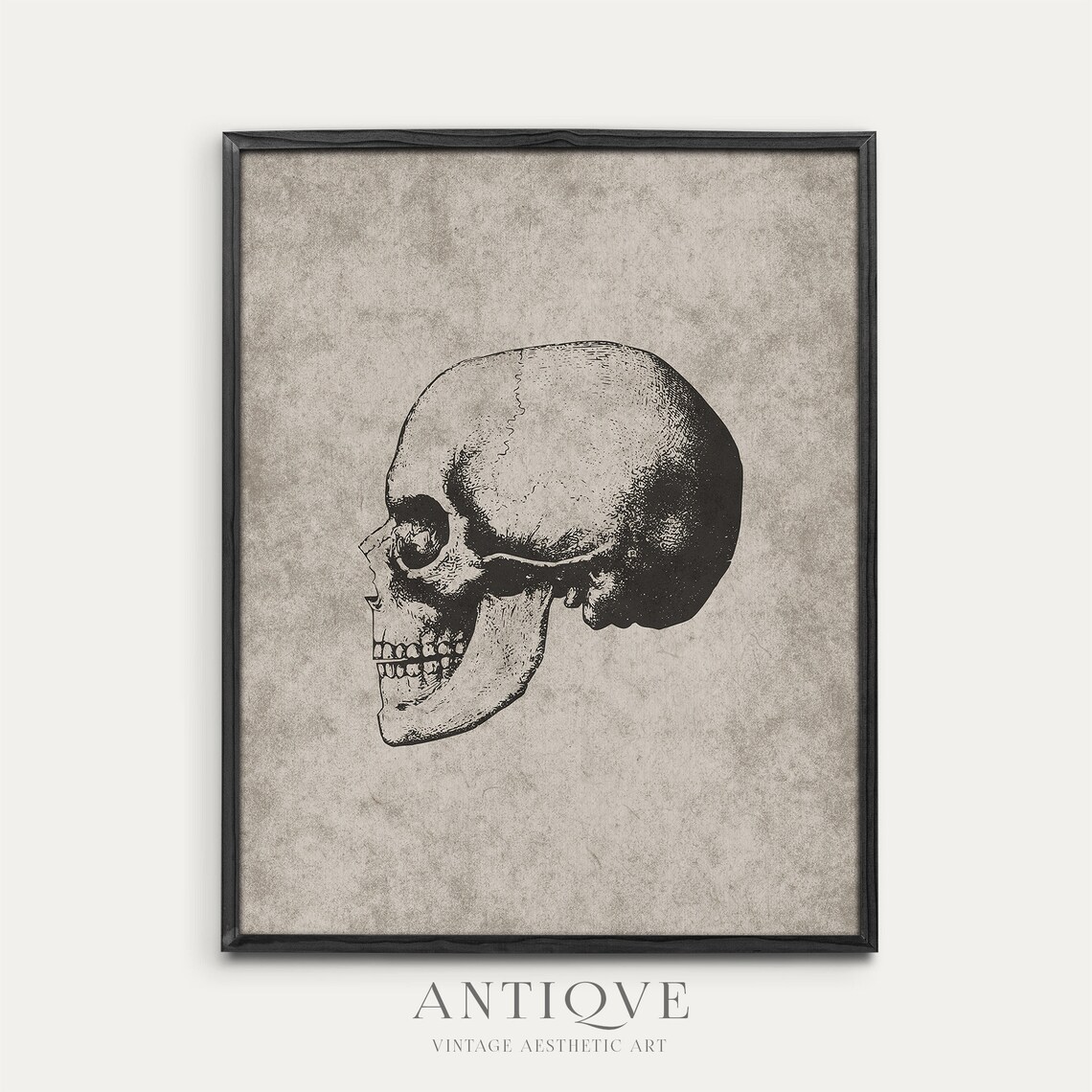 Vintage Skull Sketch, Neutral Halloween Gothic Print