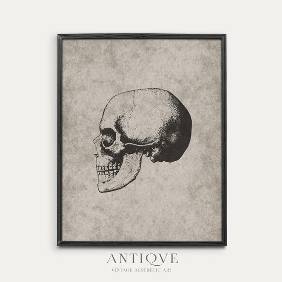 Vintage Skull Sketch, Neutral Halloween Gothic Print