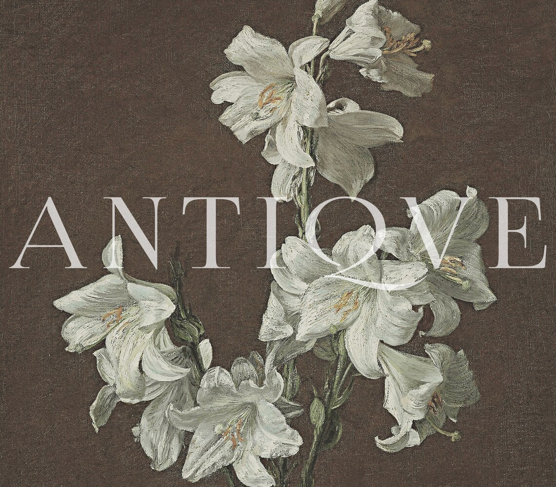 White Lilies on Dark Background Vintage Floral Oil Painting Print - Image 3
