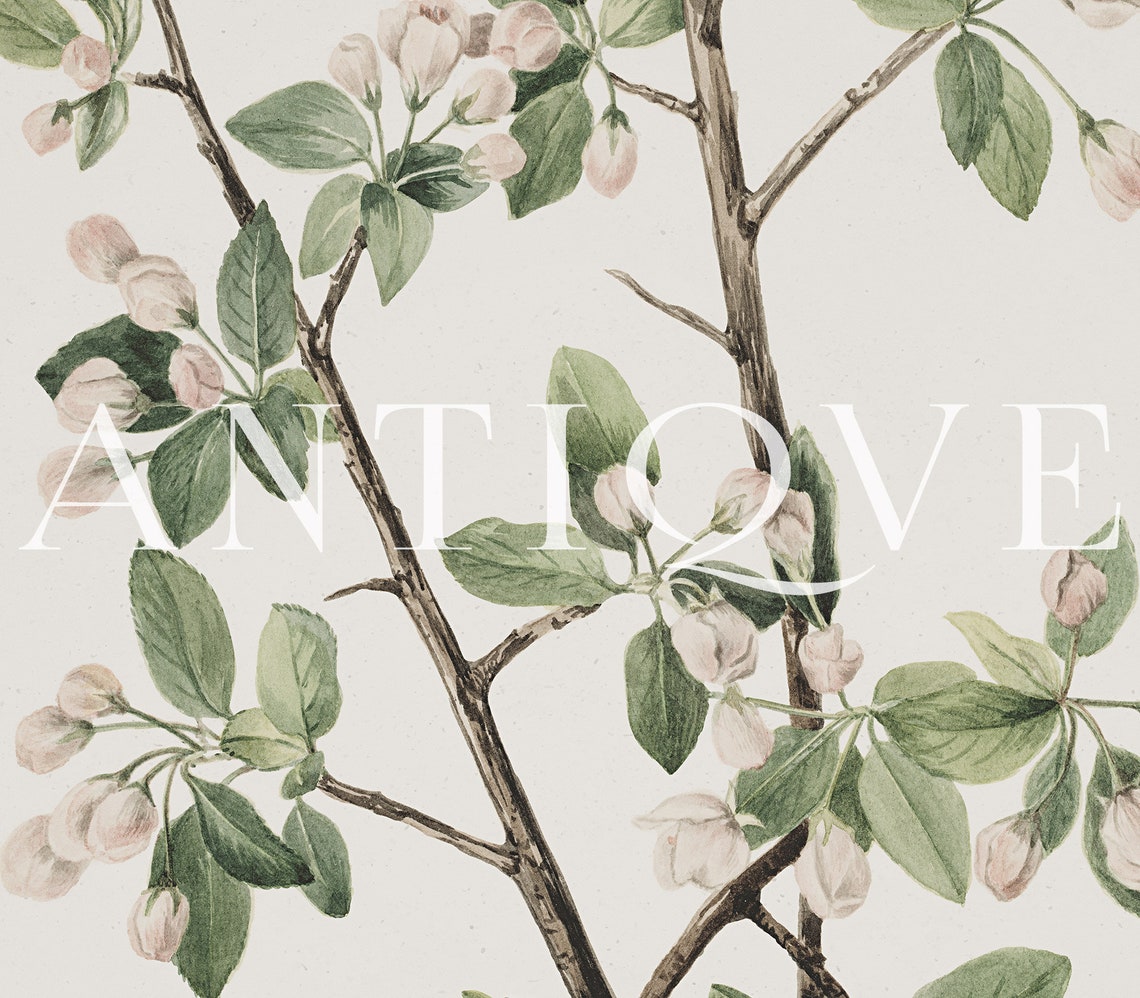 Vintage Flowers, Botanical Art Print - Image 3