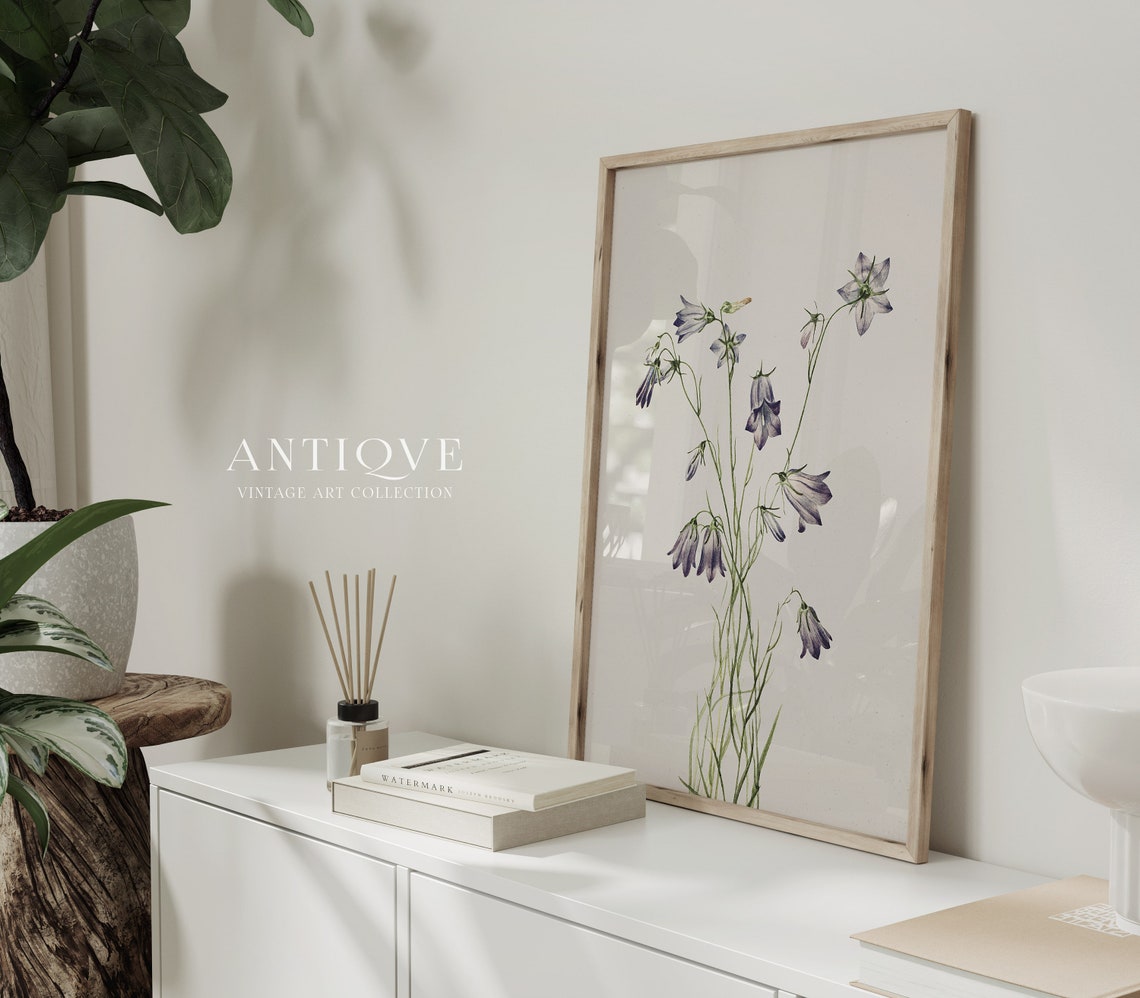 Vintage Floral - Botanical Print - Image 4