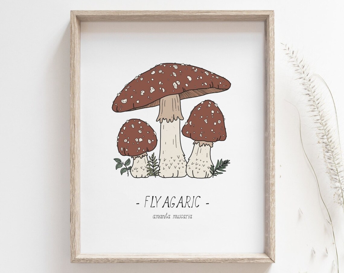 Mushroom Fly Agaric Botanical Art Print, Woodland Decor