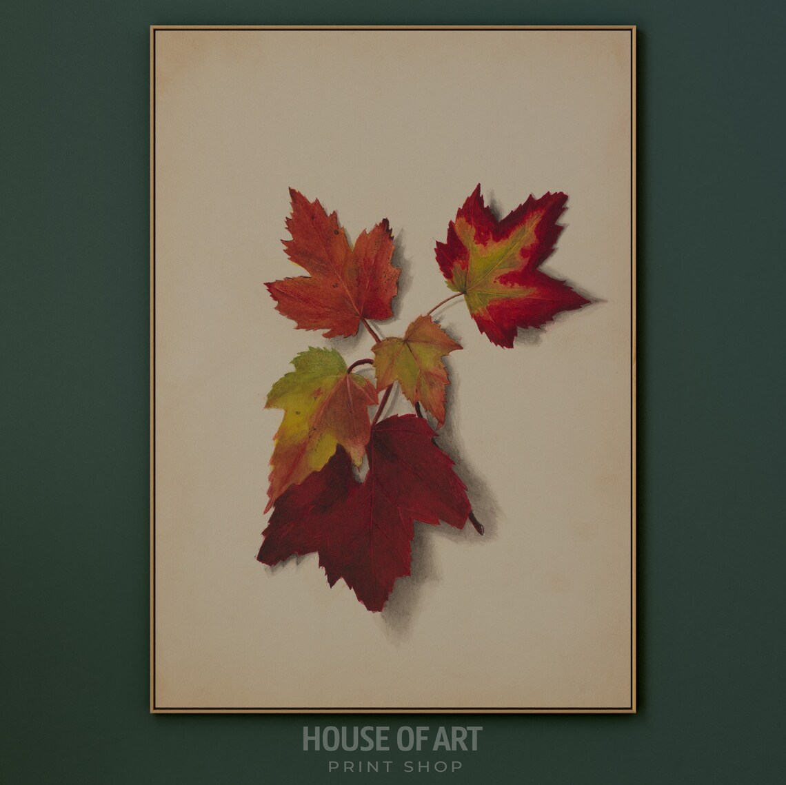 Red Autumn Leaves Watercolor Study Beige Paper Botanical Art Poster - Image 3