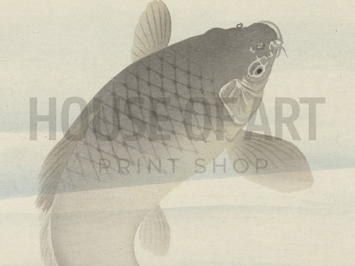 Japanese Woodcut Carp Fish And Fly Minimal Aquatic Nature Art Print - Image 2