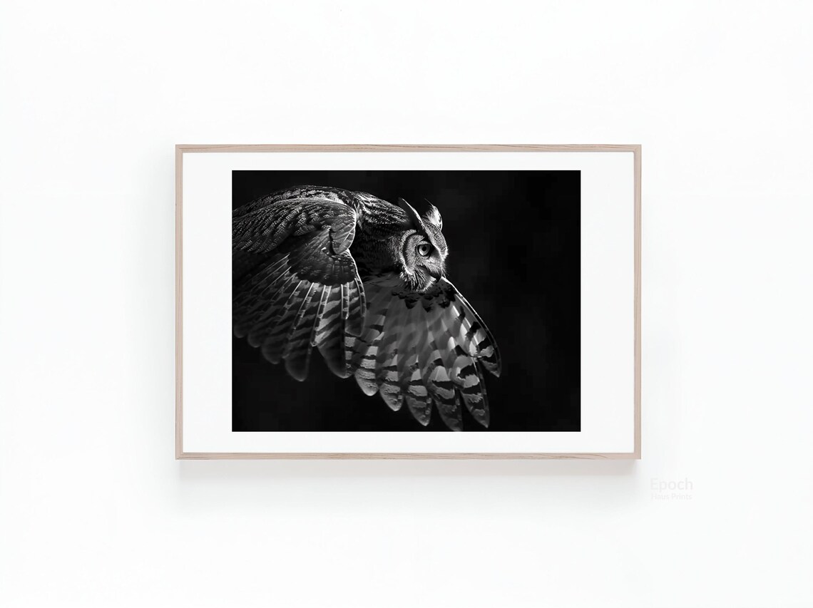 Owl In Flight, Cute Animal Photo Poster Print - Image 3