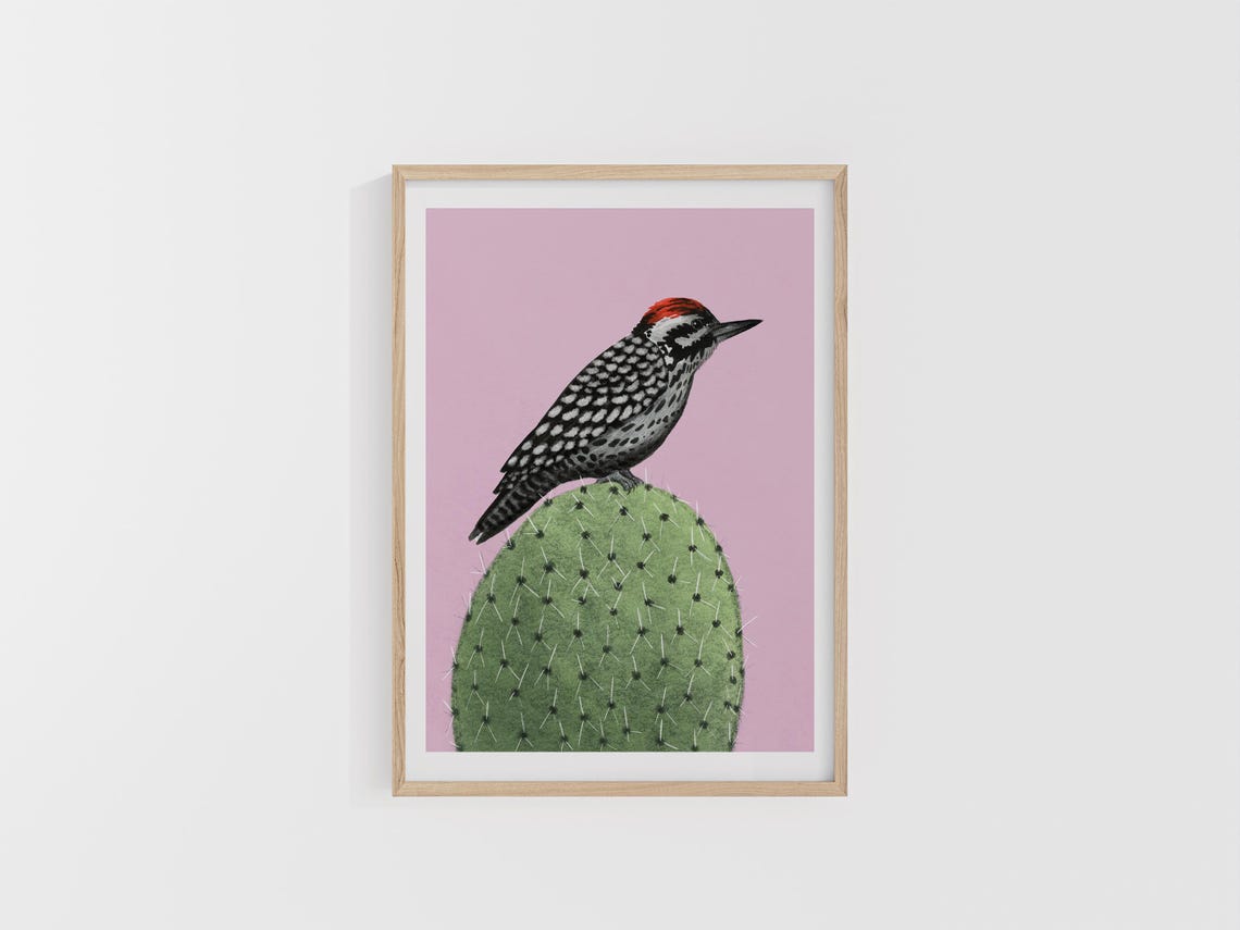 Woodpecker Perched on Cactus Against a Pink Background Art Poster - Image 2
