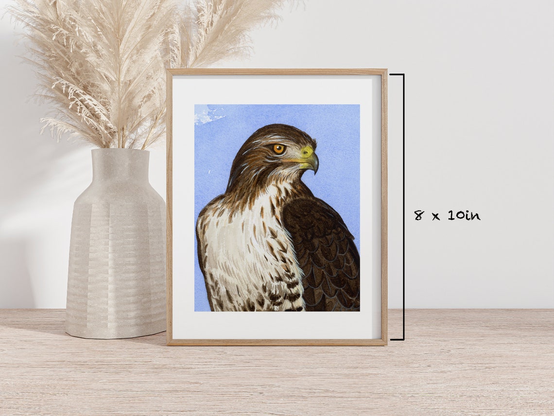 Red-Tailed Hawk Portrait Watercolor Majestic Raptor Art Poster - Image 2