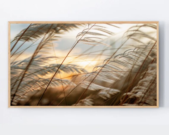 Samsung Frame Tv Art Pampas Grass 4k Modern Simple Boho Neutral Pampass Farmhouse Country For