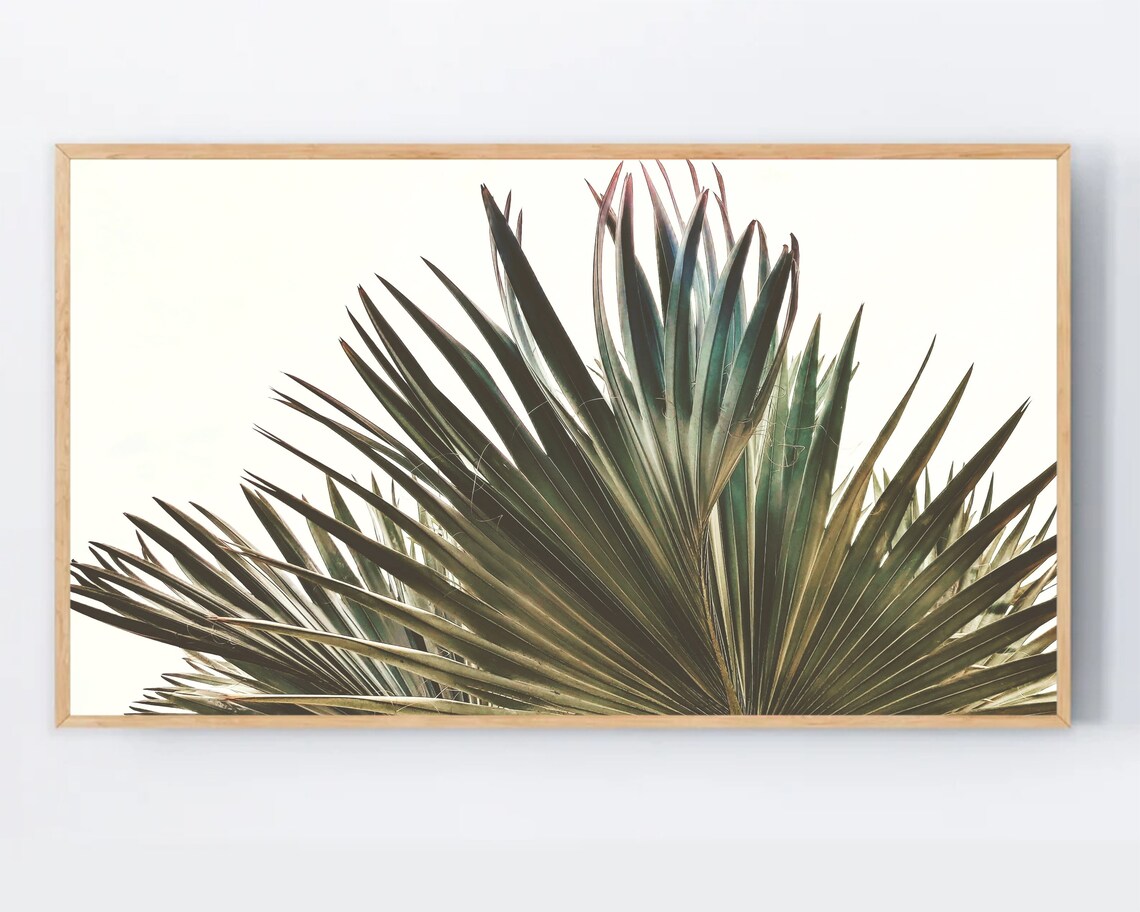 Samsung Frame Tv Art Bohemian Style Background Eclectic Botanical Boho Decor Palm Tree Artwork