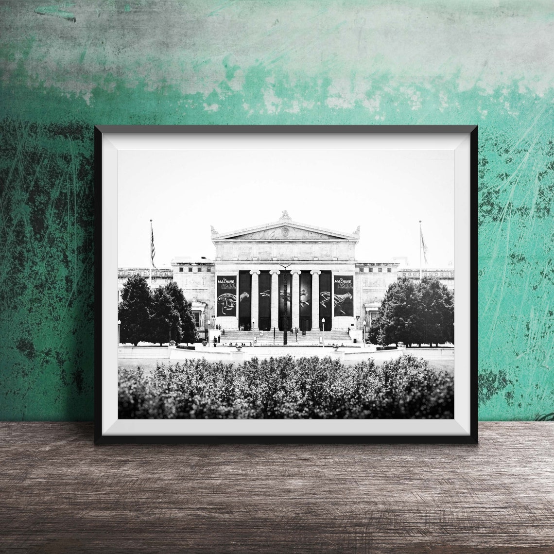 Field Museum Chicago Natural History Facade Columns Photo Poster - Image 2