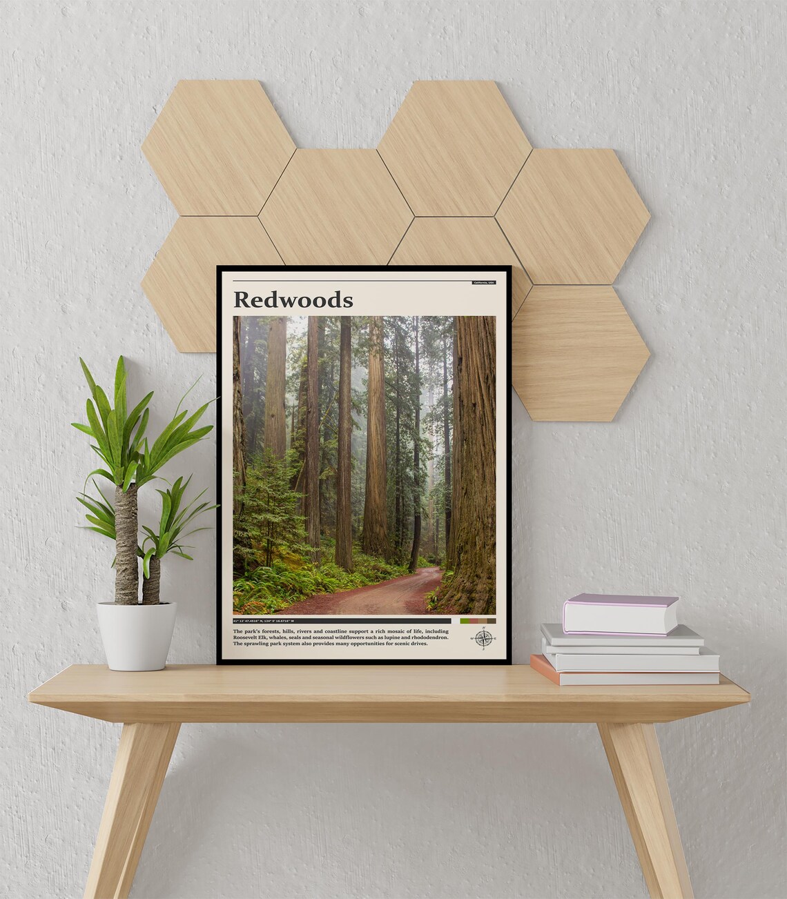 Redwoods California USA Misty Ancient Forest Trail Photography Poster - Image 3