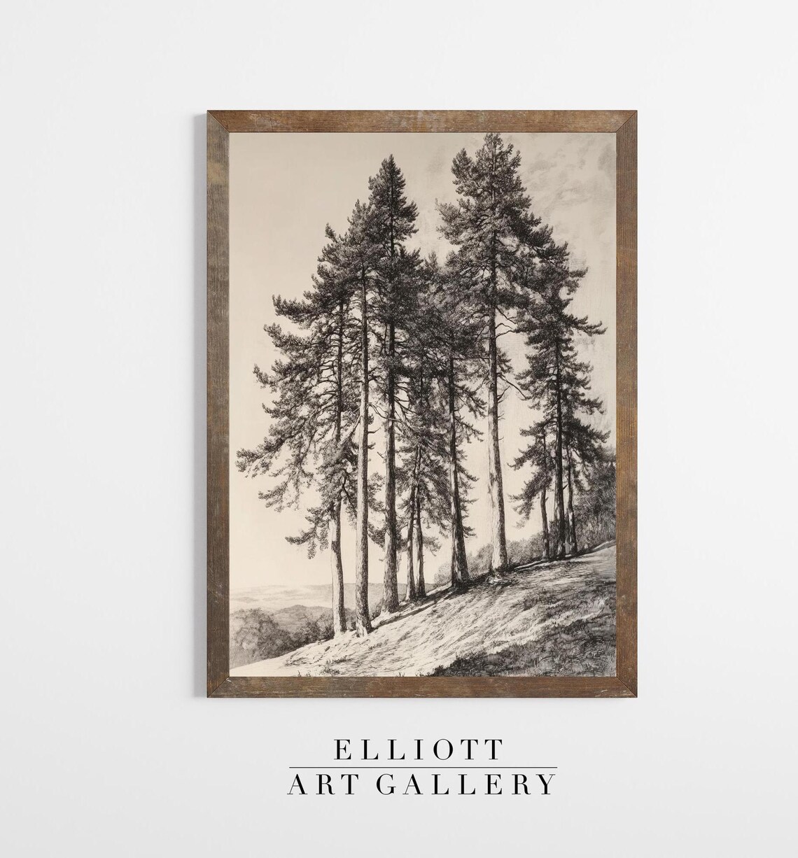 Pine Trees Vintage Sketch Black And White Forest Art Poster Nature