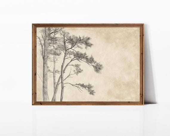 Minimalistic Tree Sketch Antique Rustic Forest Decor Neutral Vintage Minimalist Art E763