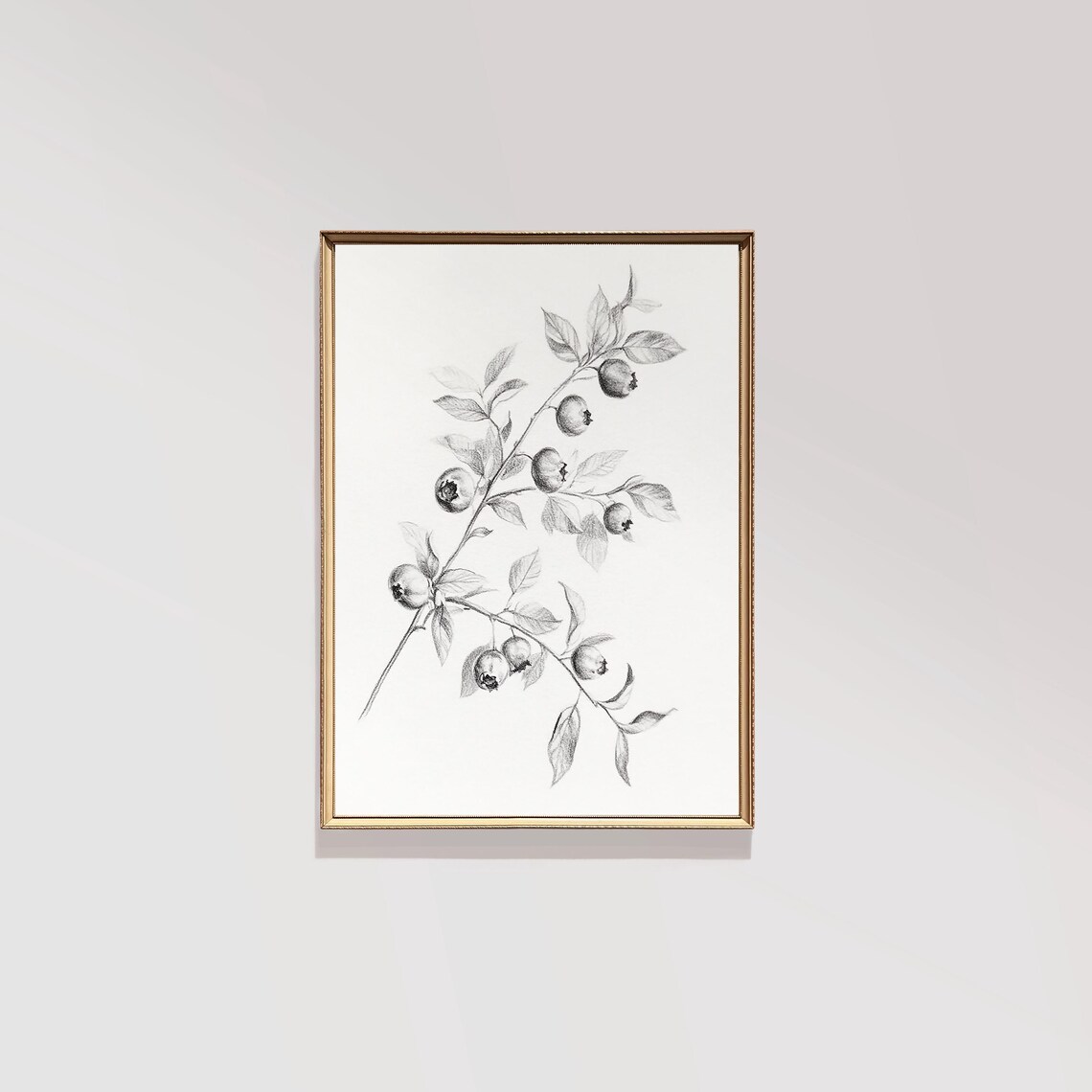 Blueberry Branch Botanical Pencil Drawing Soft Gray Vintage Wall Art