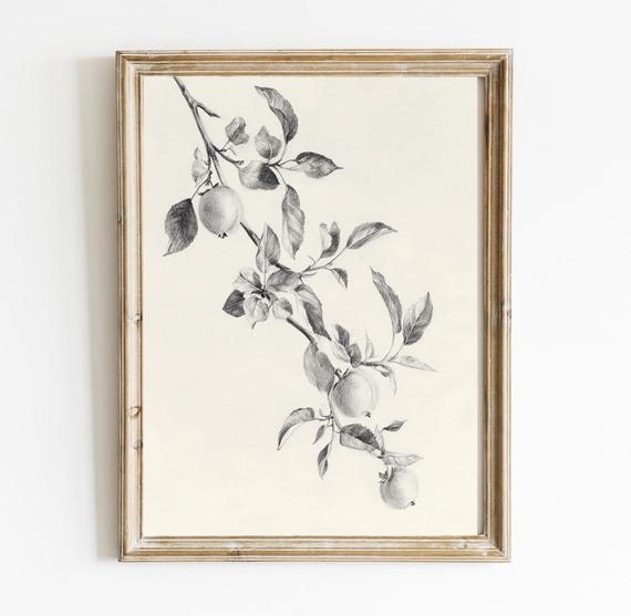 Vintage Fruit Branch, English Country Rustic Drawing