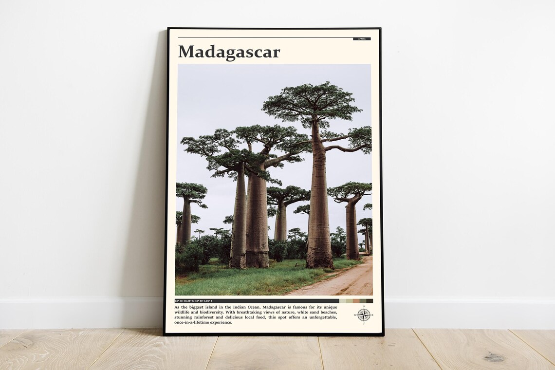 Madagascar Baobab Avenue Iconic Trees Africa Nature Travel Poster