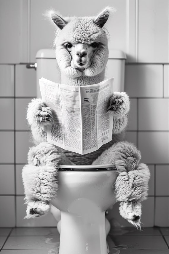 Alpaca Reading Newspaper Bathroom Humor Wall Poster