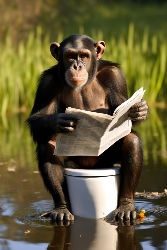 Chimpanzee Sitting On The Toilet Reading A Newspaper Funny Bathroom Wall Art Funny Monkey Print Funny Animal Photo Ai Art