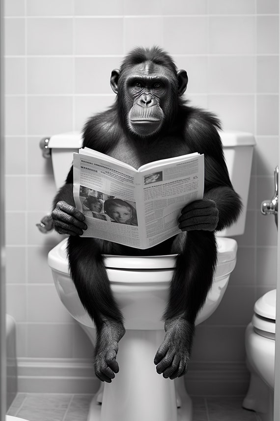 Bonobo Ape Toilet Newspaper Bathroom Wall Art
