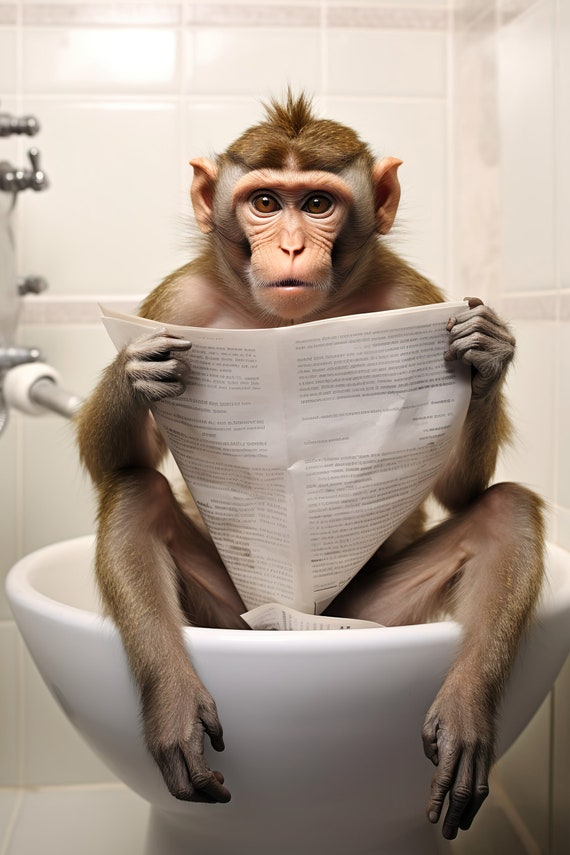 Macaque Monkey Sitting On The Toilet Reading A Newspaper Funny Bathroom Wall Art Funny Monkey Print Animal Photos Ai Art