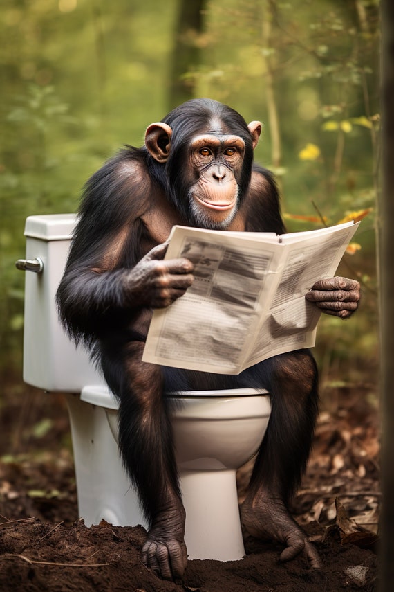 Chimpanzee Sitting On The Toilet Reading A Newspaper Funny Bathroom Wall Art Funny Monkey Print Funny Animal Photo Ai Art