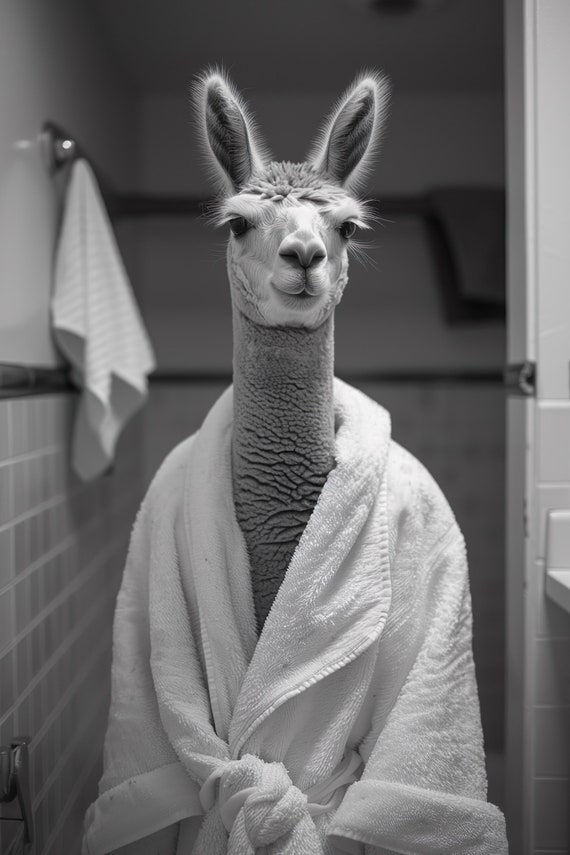 Alpaca In A Bathrobe Funny Bathroom Wall Art Quirky Animal Art Funny Alpaca In Bath Humor Print Home Ai Wall Art Prints