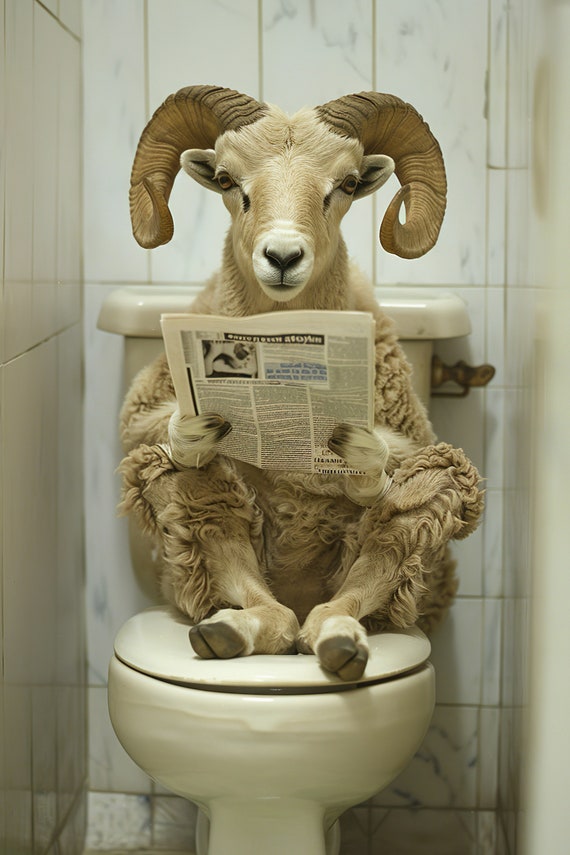 Ram Sitting On The Toilet Reading A Newspaper Funny Bathroom Humor Bighorn Sheep Funny Animal Print Home Ai Print