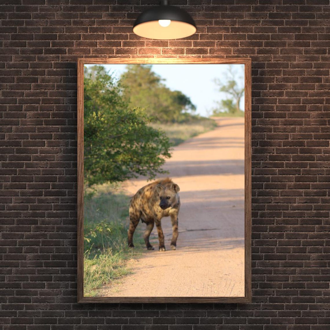 Hyena Art, Africa's Game Reserves - Image 2