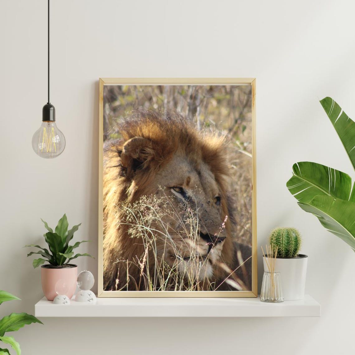 Lion Art, Africa's Game Reserves - Image 4