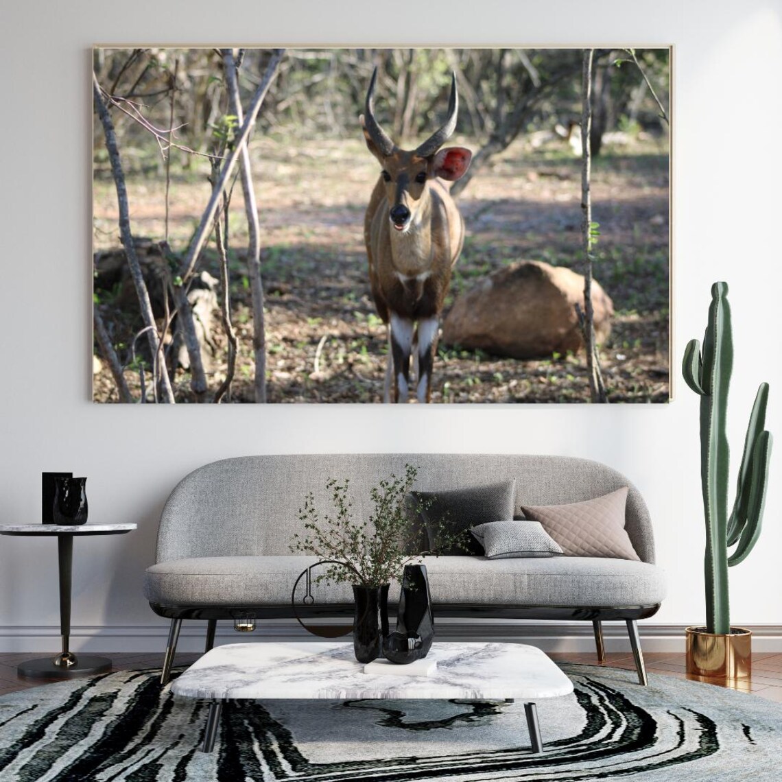 Nyala Antelope Standing Alert Among Trees In The Woodland Poster