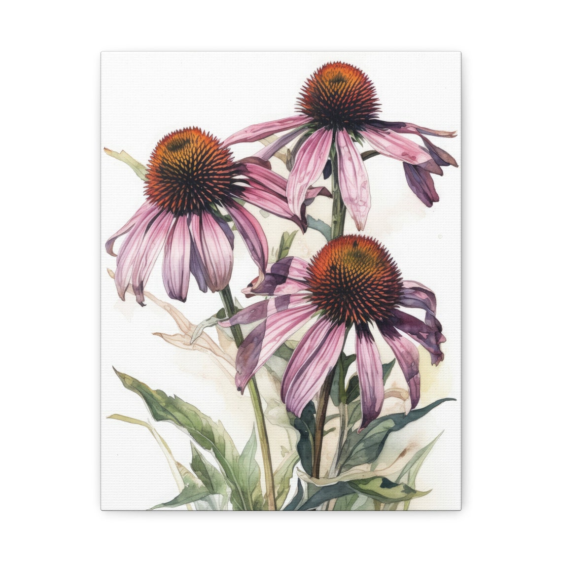 Pink Coneflower Watercolor Echinacea Blooms Botanical Flower Art Print - Image 2