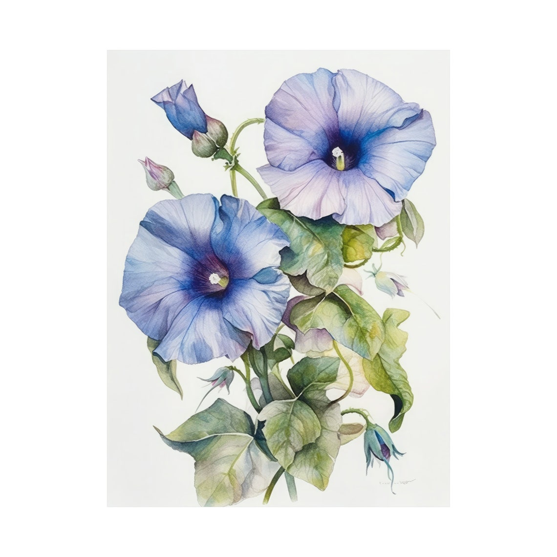 Blue Morning Glory Flowers Watercolor Botanical Floral Fine Art Poster - Image 4