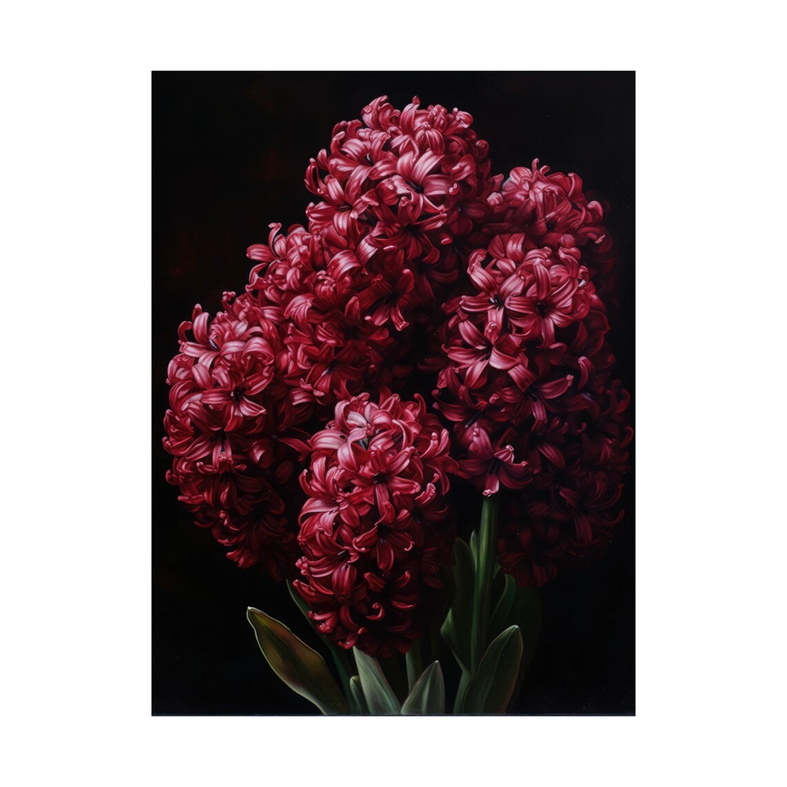 Burgundy Hyacinth Flower Cluster Dark Moody Botanical Art Poster - Image 4