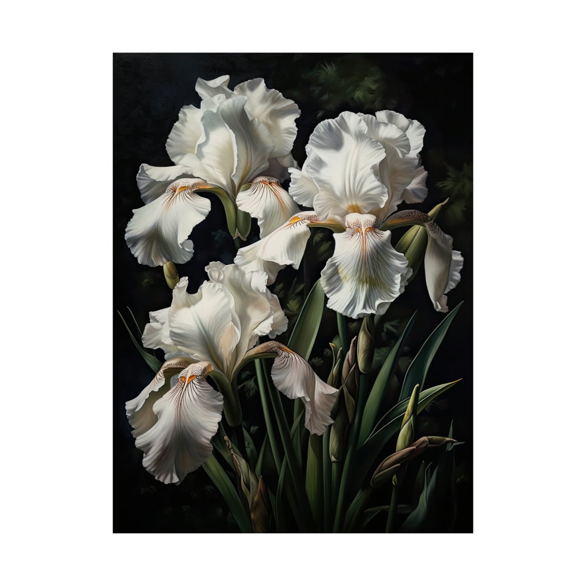 White Iris Blossoms Elegant Ruffled Dark Botanical Wall Art Print - Image 4