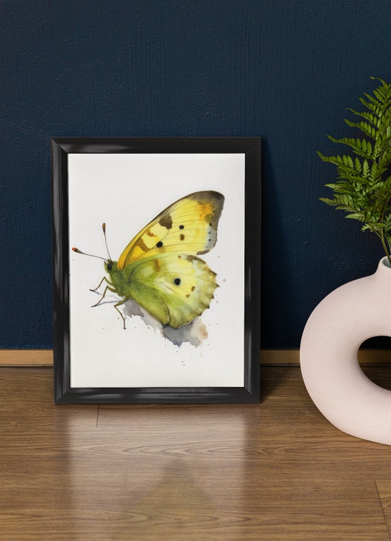 Clouded Sulphur Butterfly Art Print Butterfly Home Dcor Watercolor Butterfly Painting Insect Wall Art Nature Lover Butterflies Artwork
