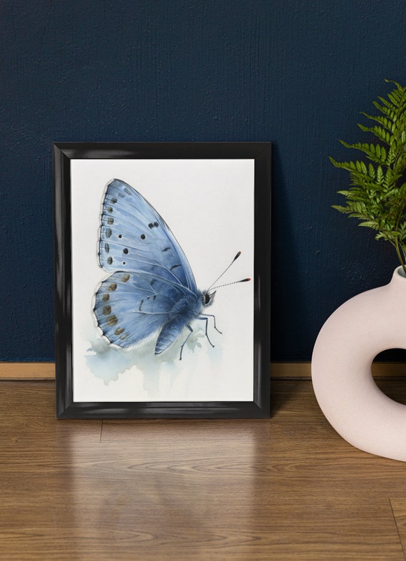 Holly Blue Butterfly Art Print Butterfly Home Dcor Watercolor Butterfly Painting Insect Wall Art Nature Lover Butterflies Artwork